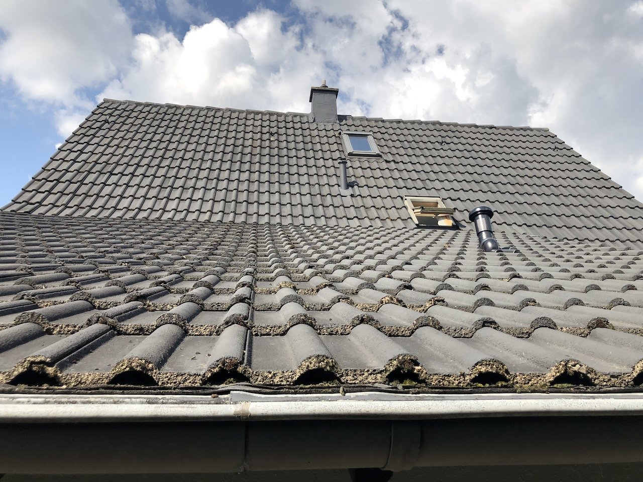 Handwerker aufgepasst! Preis reduziert - freistehendes Haus mit Potenzial