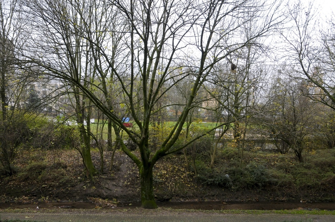 Verkauft: Apartment mit KDB, Loggia, Kelleraum und Garage