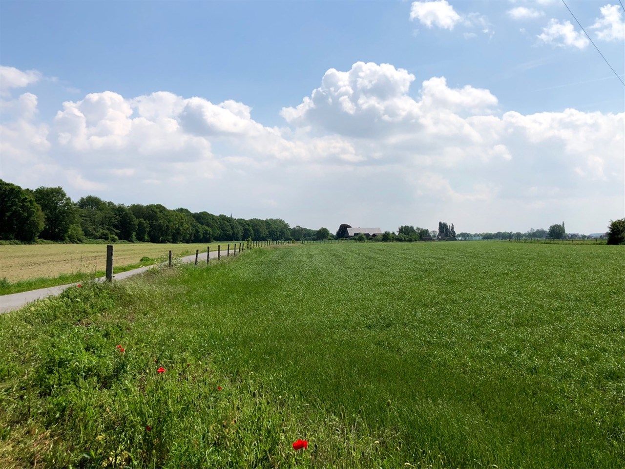 Stattliche Jugendstil-Villa auf 2.200 m² großem Anwesen