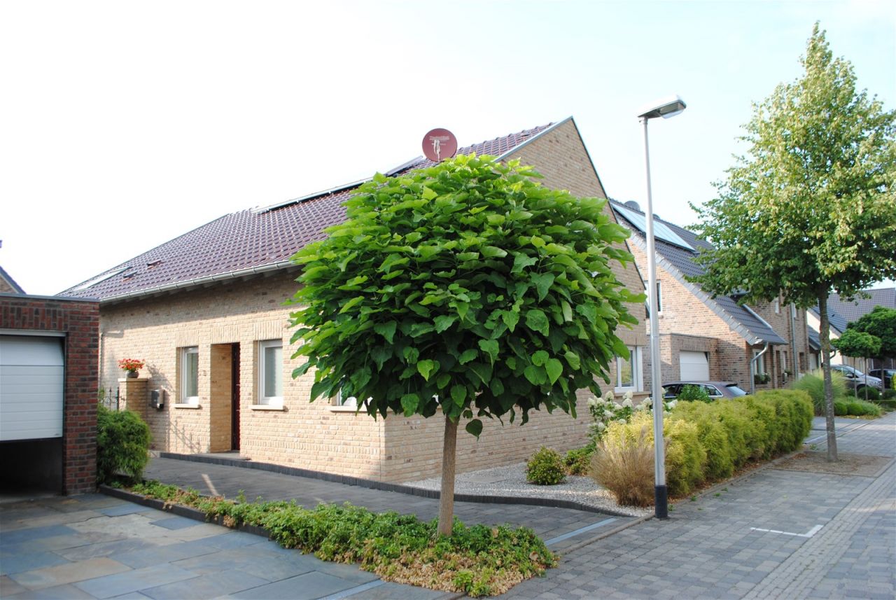 Ein Haus mit vielen Möglichkeiten für Atelier, Büro oder Praxis, barrierefrei im EG