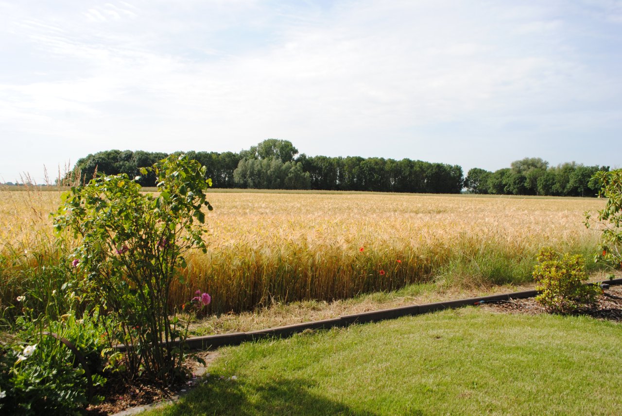 herrlicher Fernblick