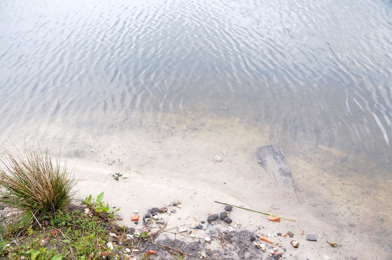 klares Wasser Westerstede